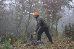 Caccia alla beccaccia: la preparazione dei cani Cacciatore con cane