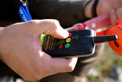 Beretti Beeper 2000 xp® Radiocomando beeper Beretti