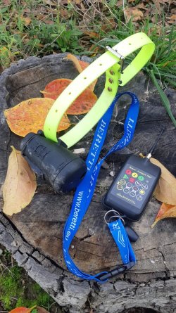 Caccia e cani da ferma: Beretti Scolopax Pro, l’evoluzione del beeper con il suono del campano Beeper Beretti Scolopax Pro