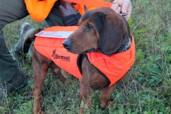 Browning Protect Pro