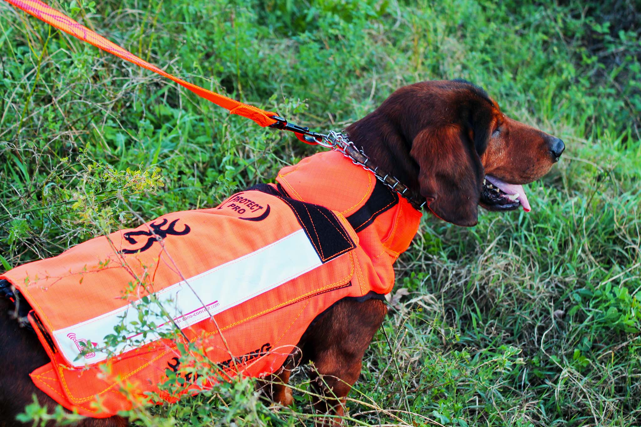 browning: Browning Protect Pro: Gilet di protezione del cane da caccia