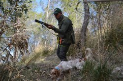 BS Planet Evomap Elite Cacciatore con cane