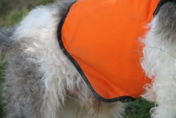 C&C Hunting FPJ corpetto per cani 