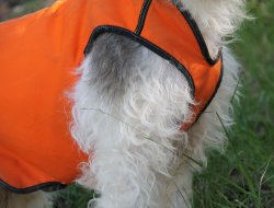 Corpetto cani C&C Hunting FPJ