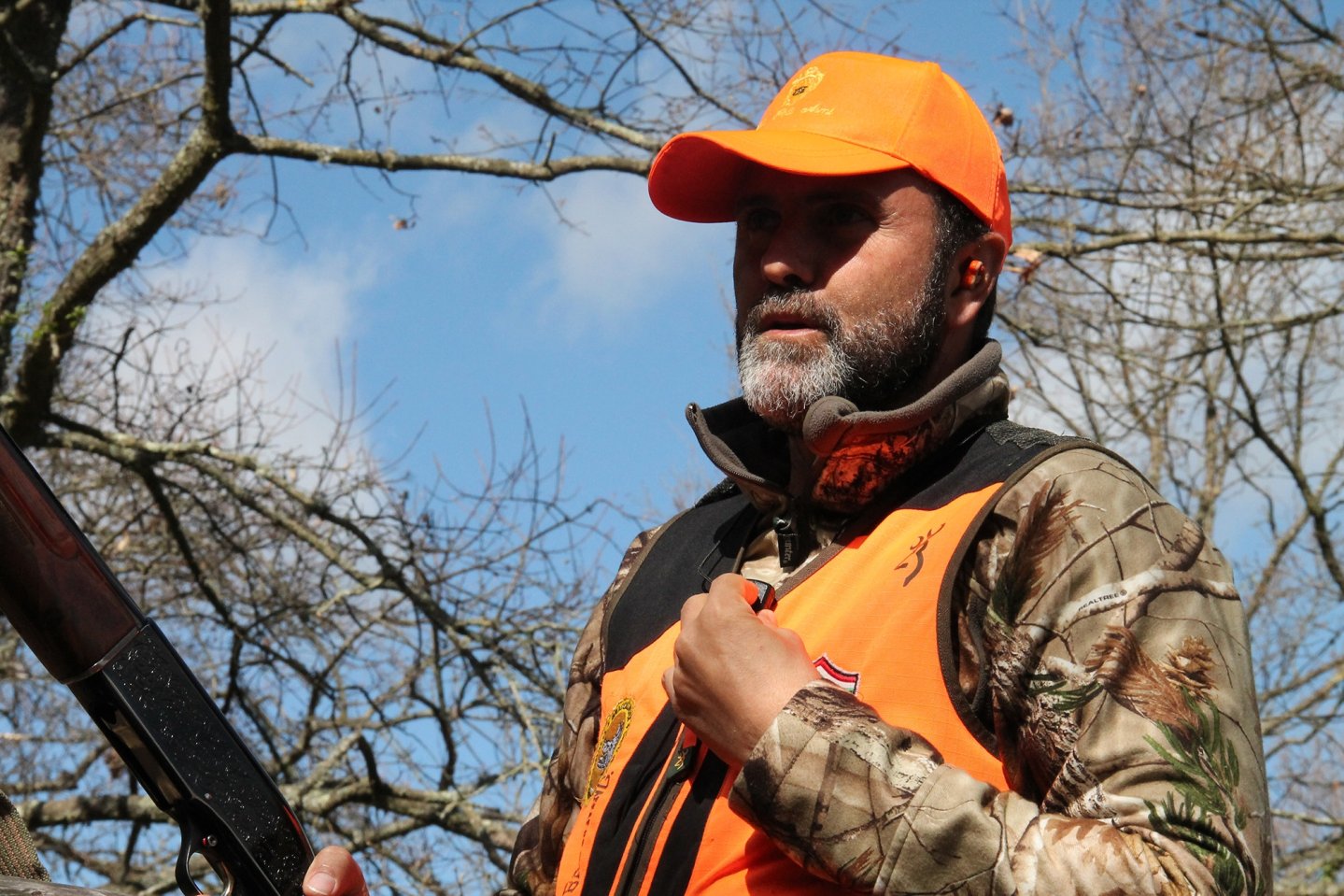 Caccia al cinghiale: il segugio Ariegeois, come e perché Vincenzo Spaccapeli