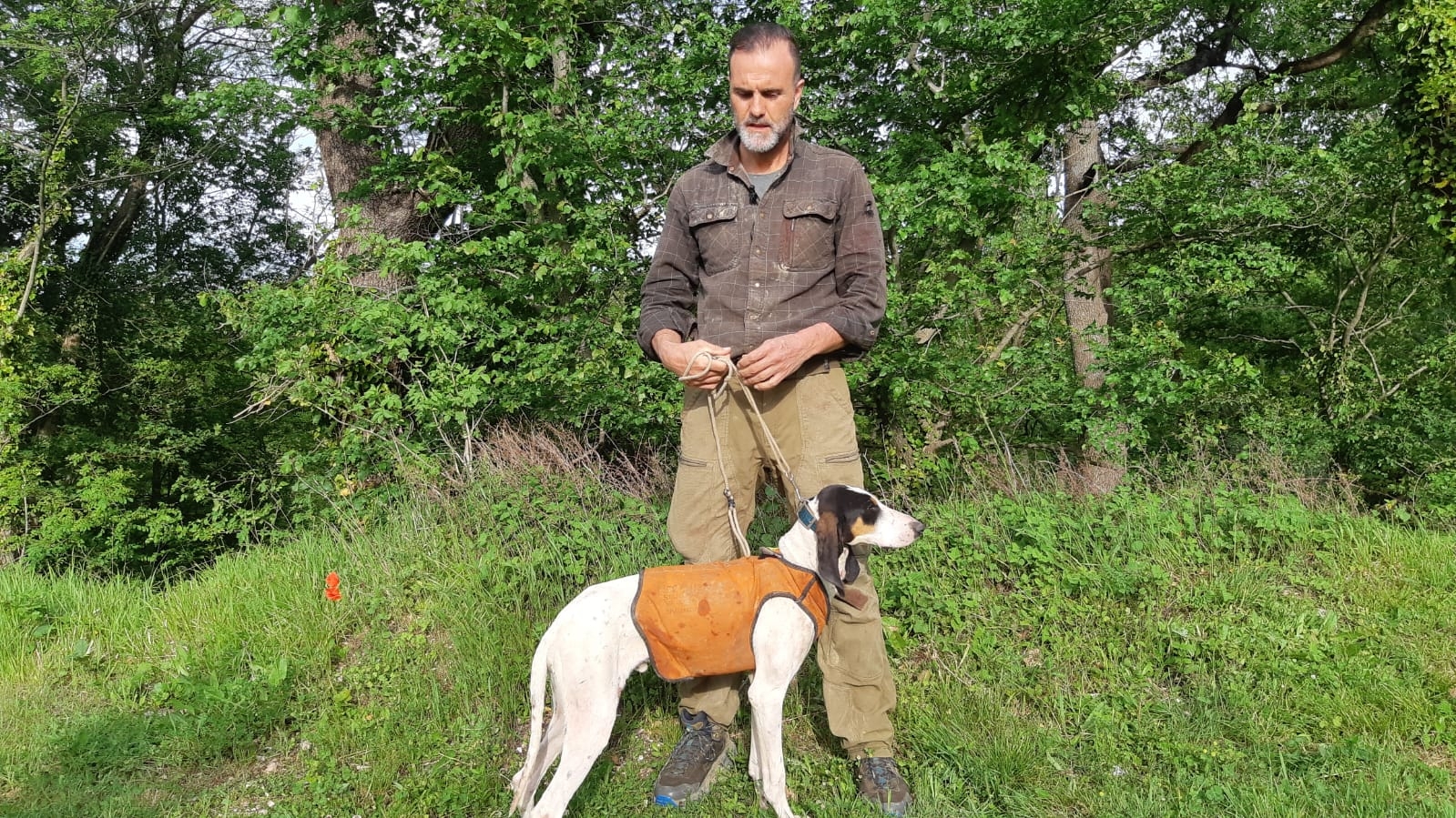 cc-hunting: Caccia al cinghiale: giubbotti antizanna per i nostri segugi, una scelta o una necessità? cc-hunting: Caccia al cinghiale: giubbotti antizanna per i nostri segugi, una scelta o una necessità?