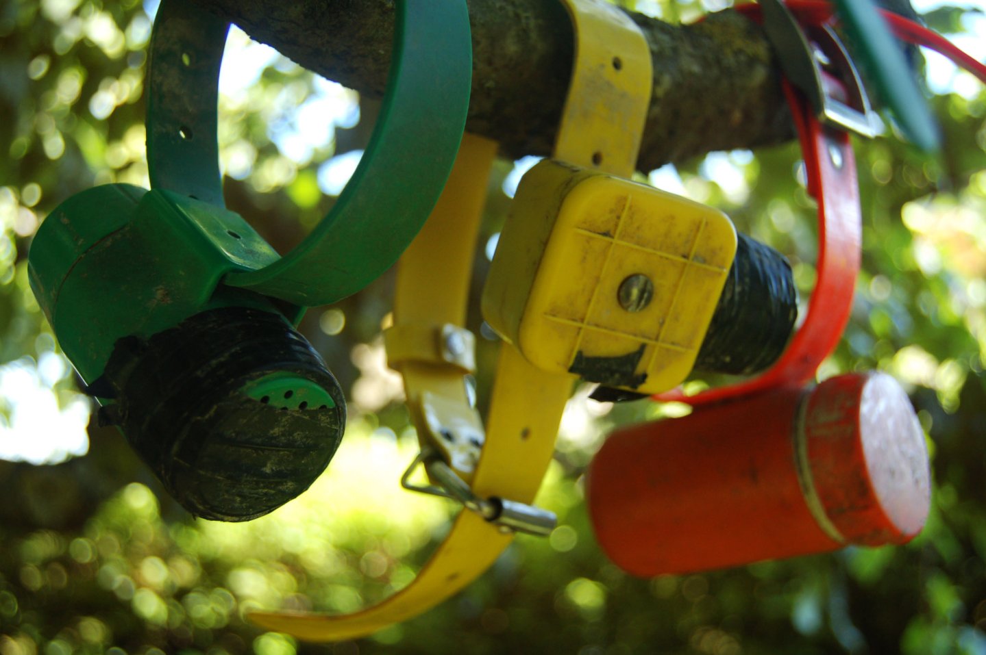 Quando il beeper non "bipa" Quando il beeper non "bipa"