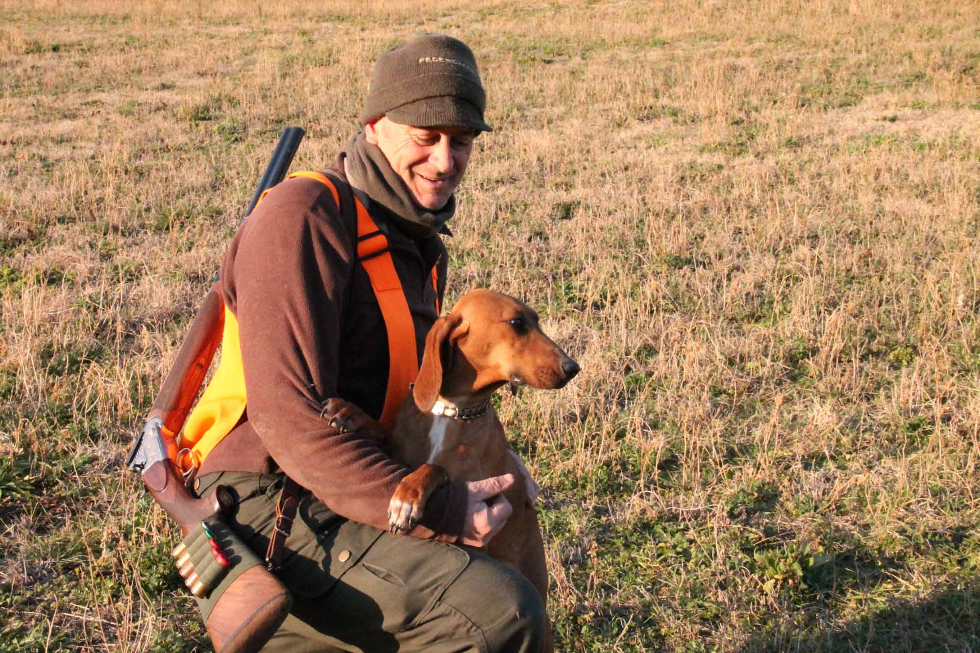 caccia-al-cinghiale: Caccia e cinofilia: il segugio maremmano