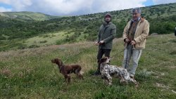 Video: Caccia e cinofilia. Un confronto con il giudice Sandro Pacioni Sandro Pacioni con i suoi setter in Valle di Fiordimonte