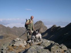 In montagna con il cane da ferma In montagna con il cane da ferma