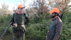 Caccia alla beccaccia: il tradizionale piacere del campano con Beretti Scolopax 4.0 Cacciatori