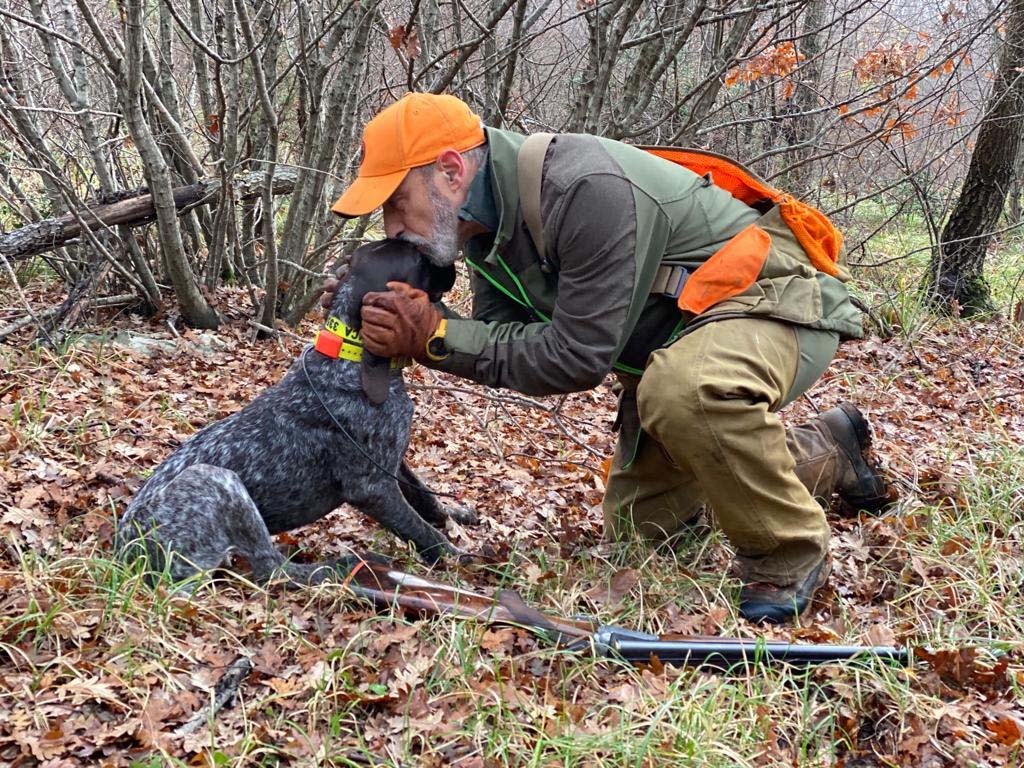 cinofilia: Cane e cacciatore 3 parte: avviamento alla caccia col cane da ferma