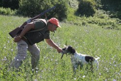 Cani da ferma: la correttezza al frullo e allo sparo a caccia e in prova Cacciatore e cane da ferma