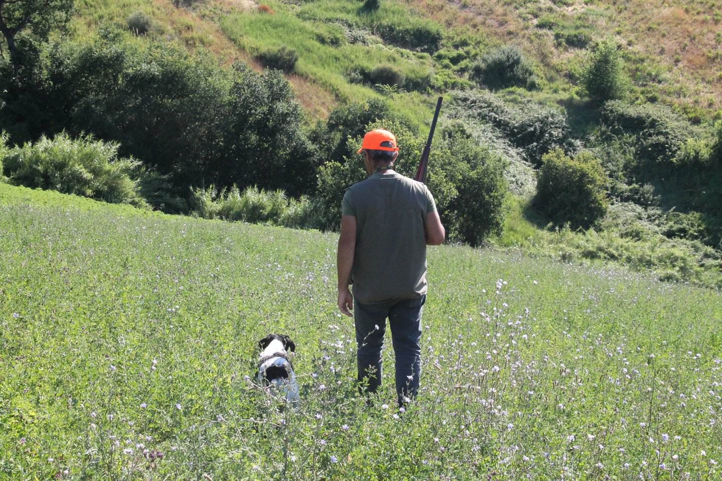 Cacciatore con cane tra le colline