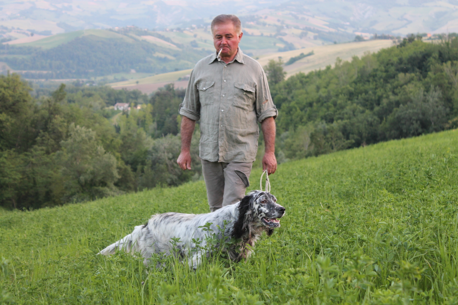 cinofilia: Cinofilia: fasi iniziali di scelta e addestramento del cane da caccia