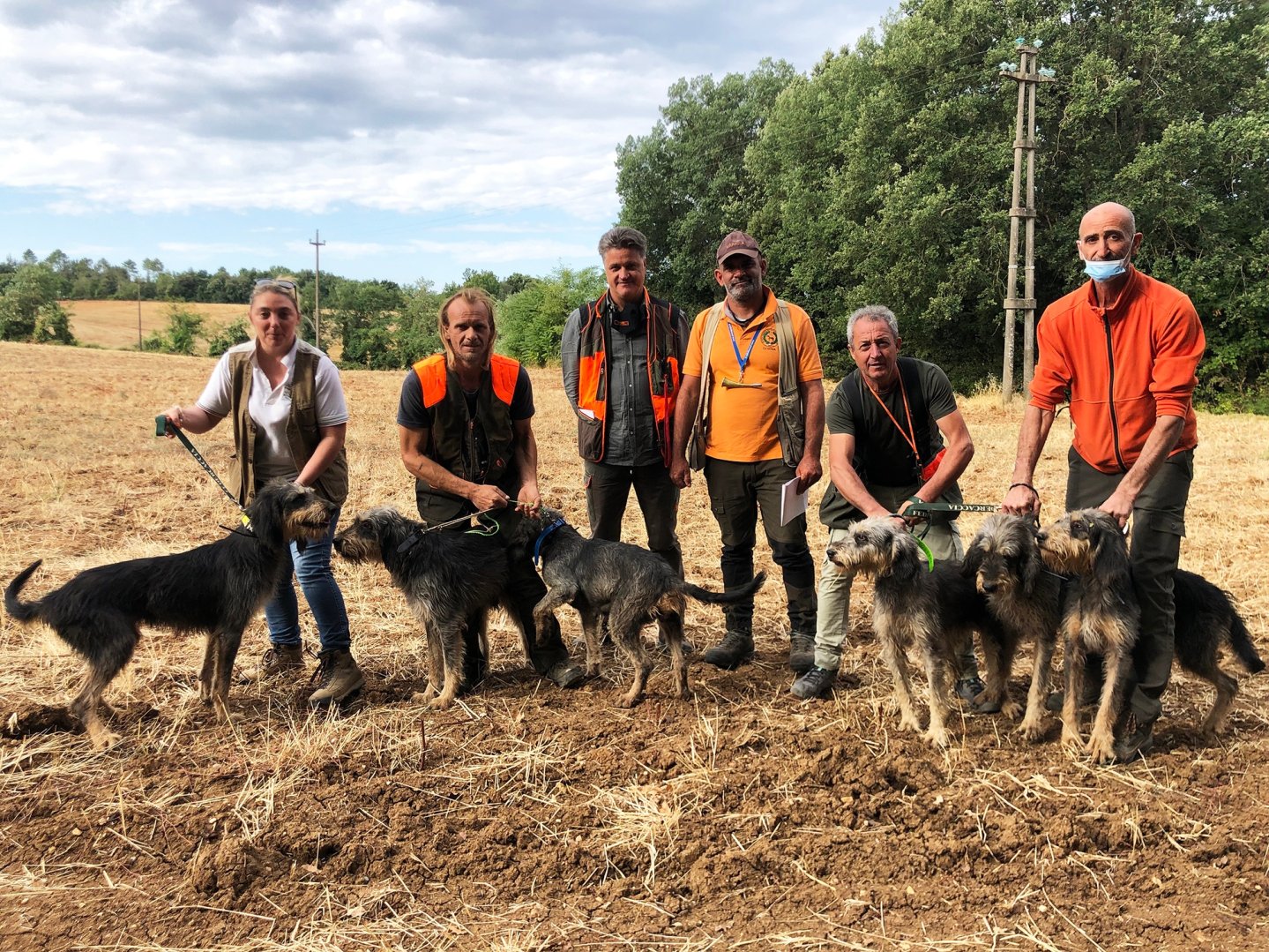 Caccia e cinofilia: segugi e cinghiali; vuoi diventare giudice per prove di lavoro?  Caccia e cinofilia: segugi e cinghiali; vuoi diventare giudice per prove di lavoro?