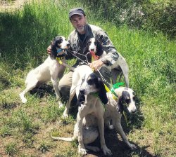 Come si giudica un cane? Come si giudica un cane?