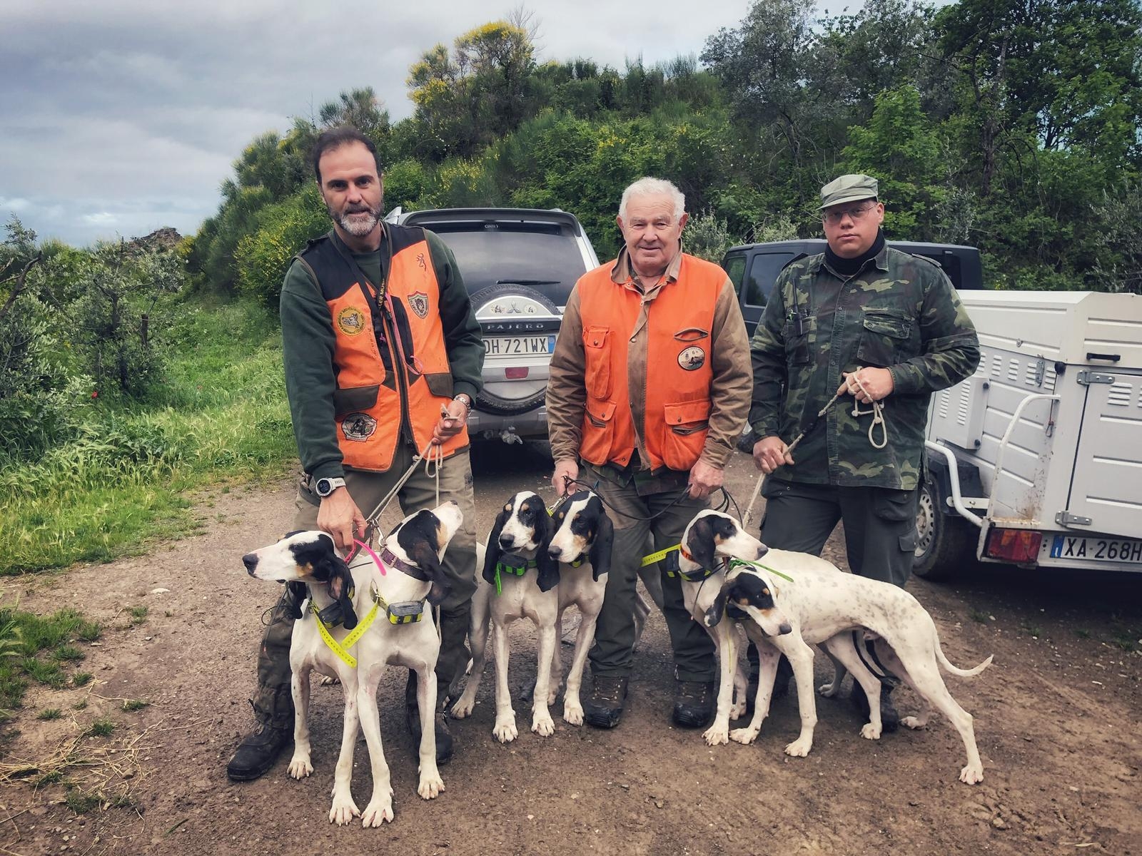 cinofilia: Segugi e cinghiali: come si giudica un cane per valutarne i migliori aspetti da selezionare nella riproduzione?