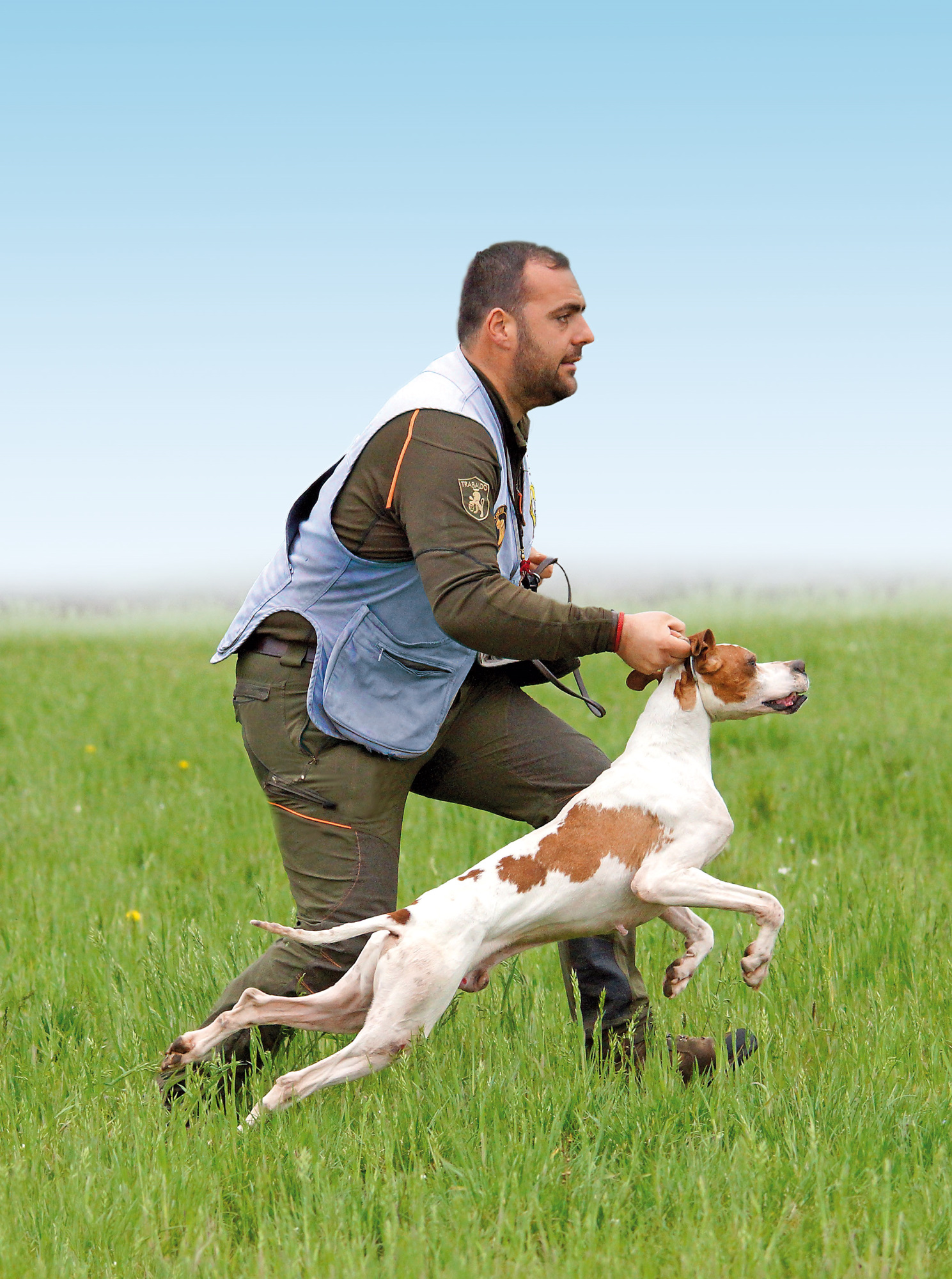 cinofilia: La Gazzetta della Cinofilia agosto 2016: i contenuti del nuovo numero