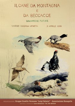 Cane da montagna e da beccacce copertina-libro-gruppo-cinofilo-veronese-luigi-delaini