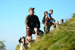 Trofeo Saladini Pilastri Cinque cani al guinzaglio di tre conduttori