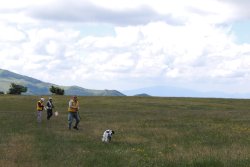 Gare cinofile classiche di montagna Due-cani-con-tre-conduttori-in-montagna