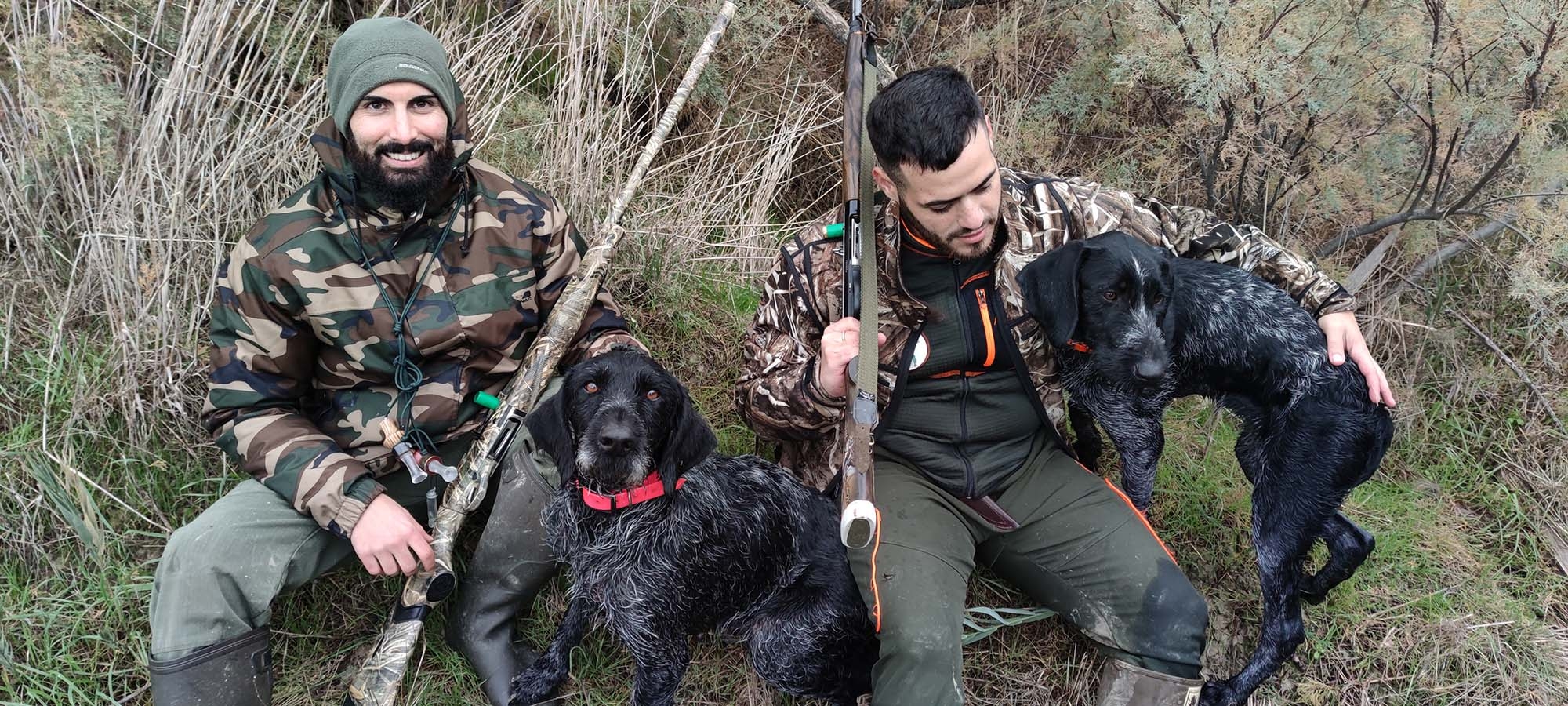 cinofilia: Deutsch Drahthaar: il cane da ferma tedesco dal pelo duro come il fil di ferro