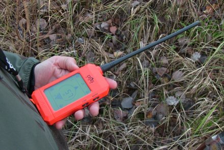 Dog Trace: i radio collari Gps distribuiti da C&C Hunting Radio collare Dog Trace