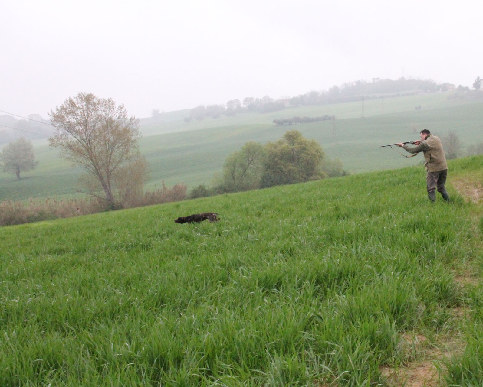 cinofilia: Mondiali di caccia pratica e S. Uberto. Buon medagliere per l'Italia