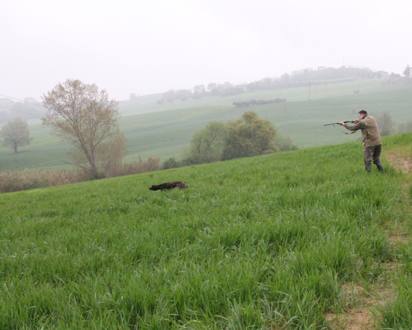 Mondiali di caccia pratica e S. Uberto. Buon medagliere per l'Italia Cacciatore con cane