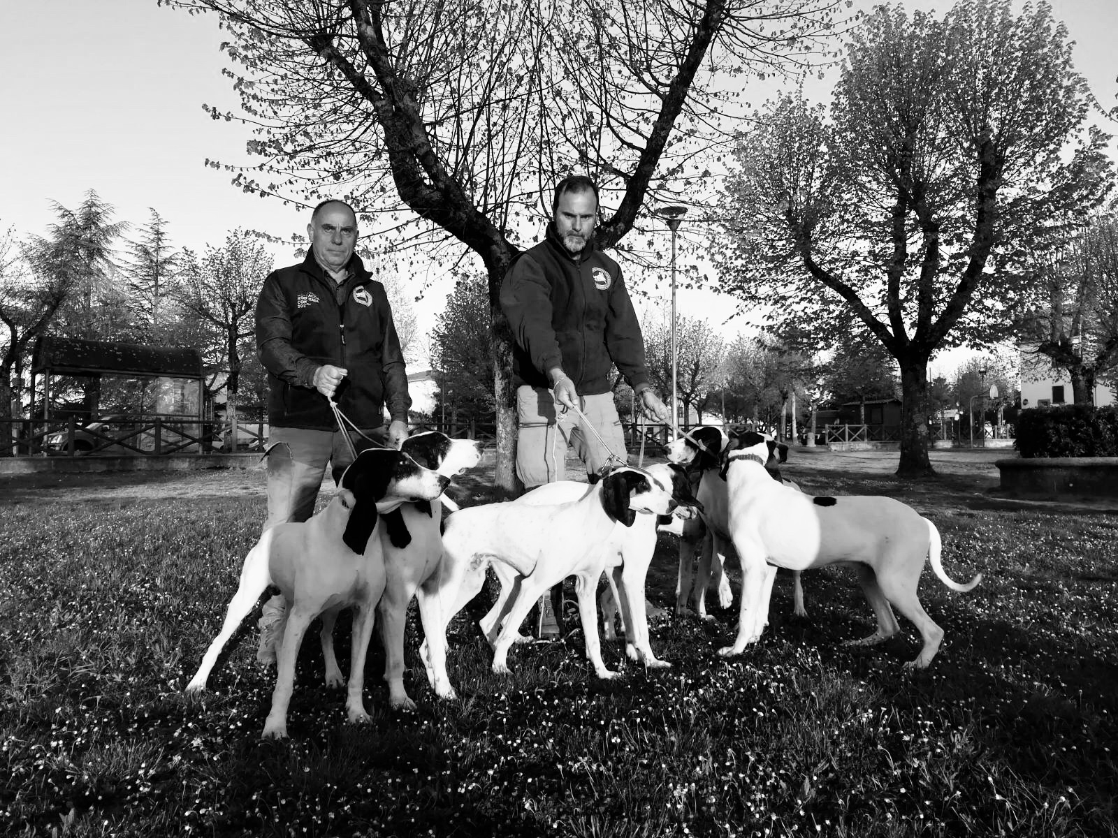 cinofilia: Caccia e cinofilia: Il ruolo del giudice nelle prove cinofile