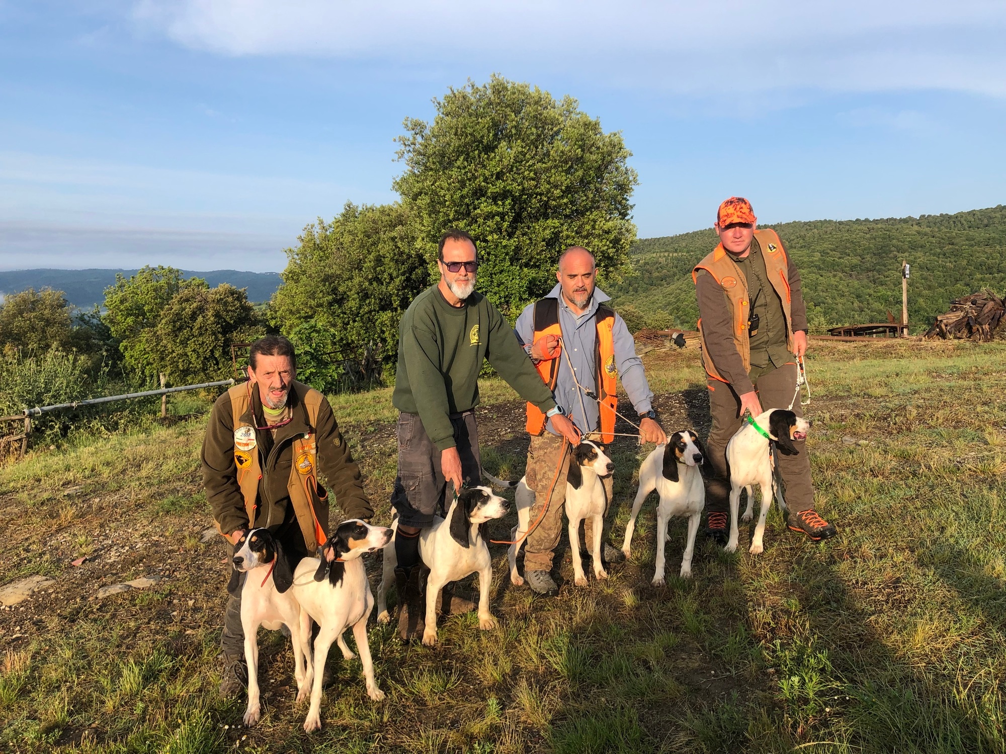 cinofilia: Bello e bravo, il cane come dovrebbe essere, ma ci crediamo tutti davvero?