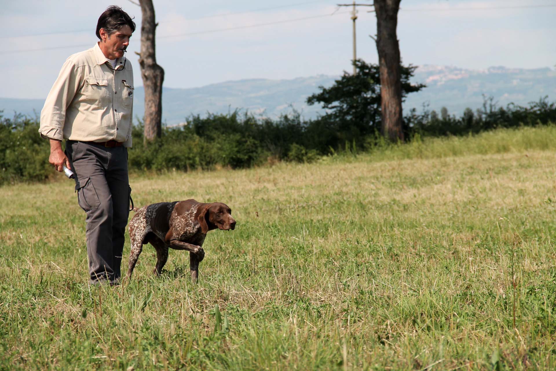 cinofilia: VIDEO: Il Kurzhaar, speciale cinofilia Game Fair 2015