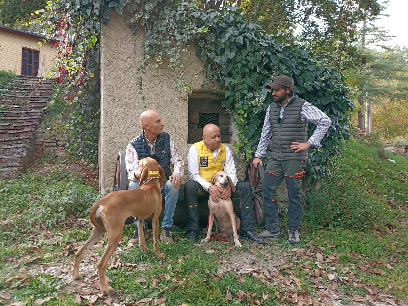 cinofilia: Il segugio Italiano nella caccia alla lepre: un confronto con Carlo Generotti e Luigi Colombi