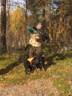 Il Setter Gordon a caccia, considerazioni pratiche Cacciatore con setter gordon e preda