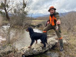 Il Setter Gordon a caccia, considerazioni pratiche Setter Gordon a caccia