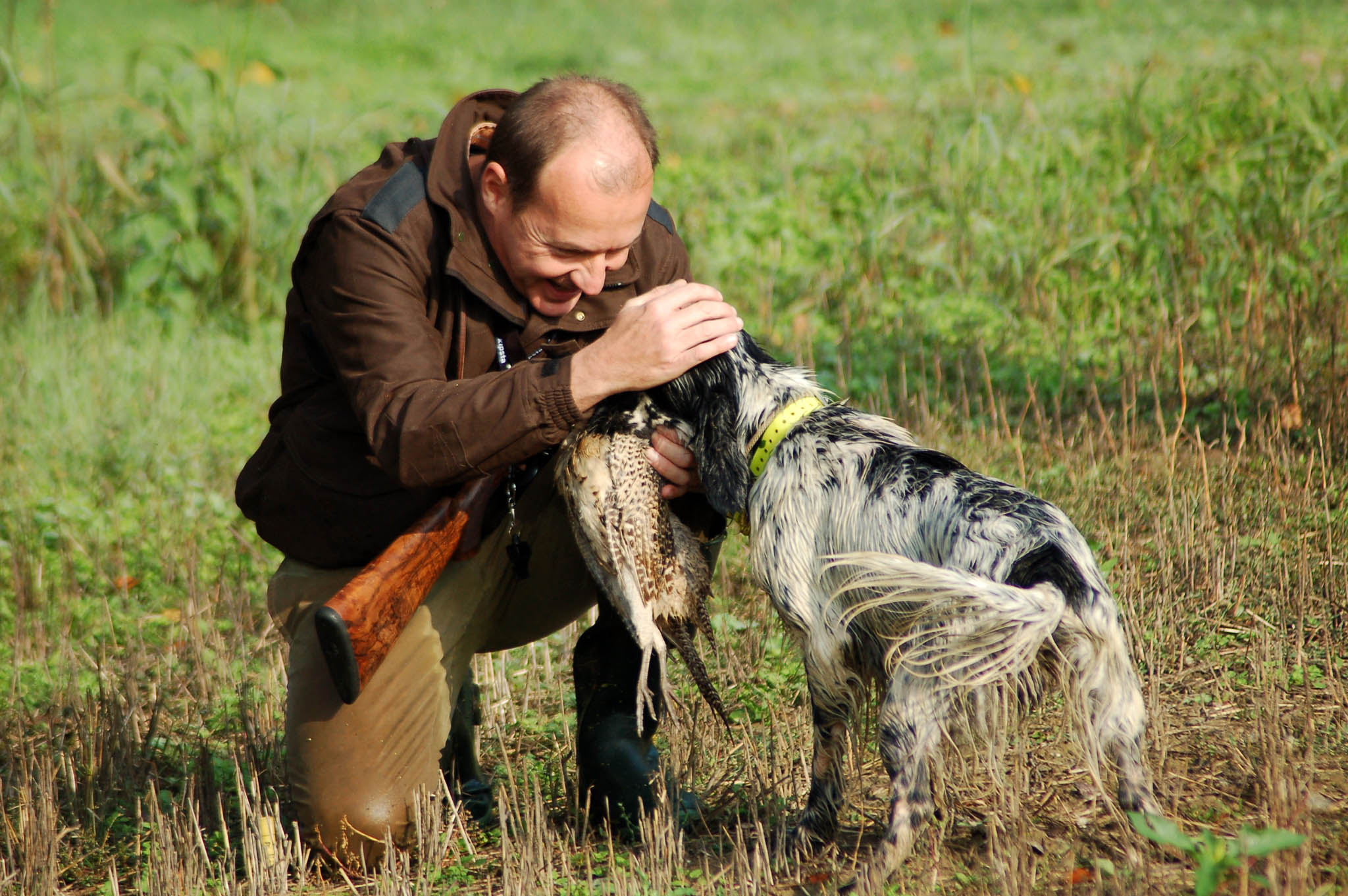cinofilia: La dieta del cane... un amico che deve restare un atleta