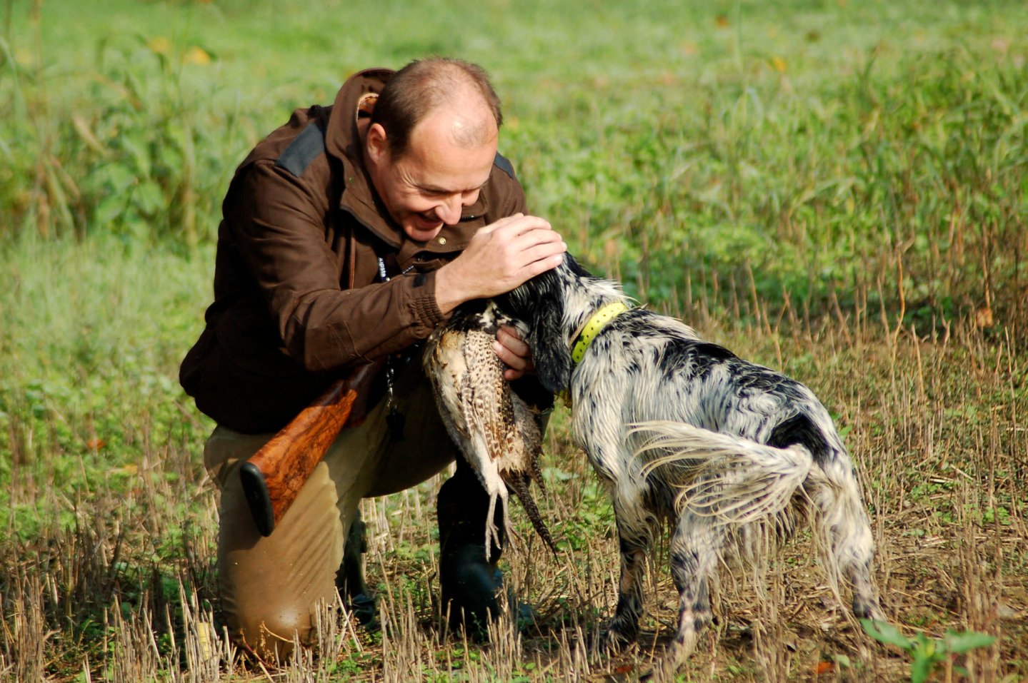 La dieta del cane La dieta del cane
