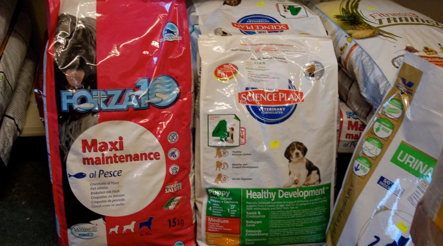 La dieta del cane