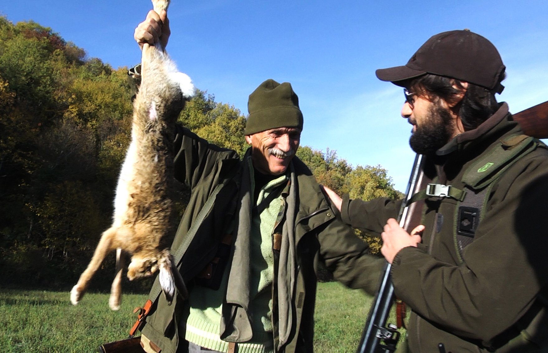 coppia di segugi su lepre YouTube