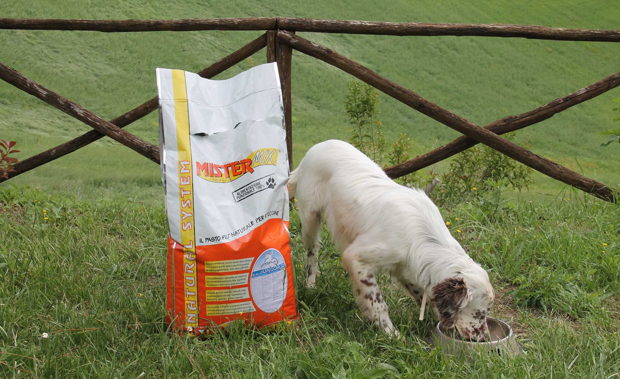 mister-mix-dog: Mister Mix Dog: l'alimentazione naturale del cane mister-mix-dog: Mister Mix Dog: l'alimentazione naturale del cane