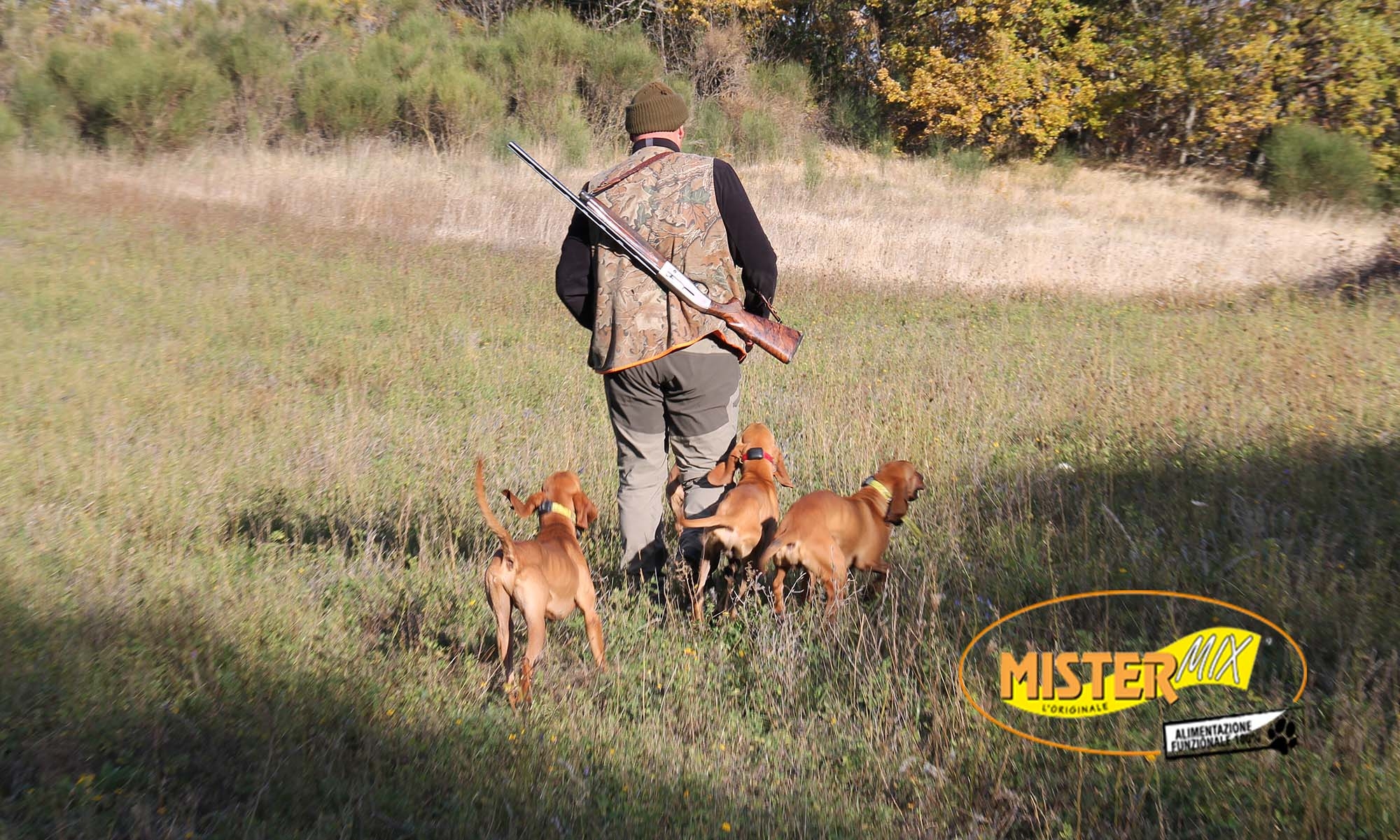 mister-mix-dog: Mister MIX Speciale Seguita e Resistenza DOGS: caccia e cinofilia nel periodo invernale mister-mix-dog: Mister MIX Speciale Seguita e Resistenza DOGS: caccia e cinofilia nel periodo invernale