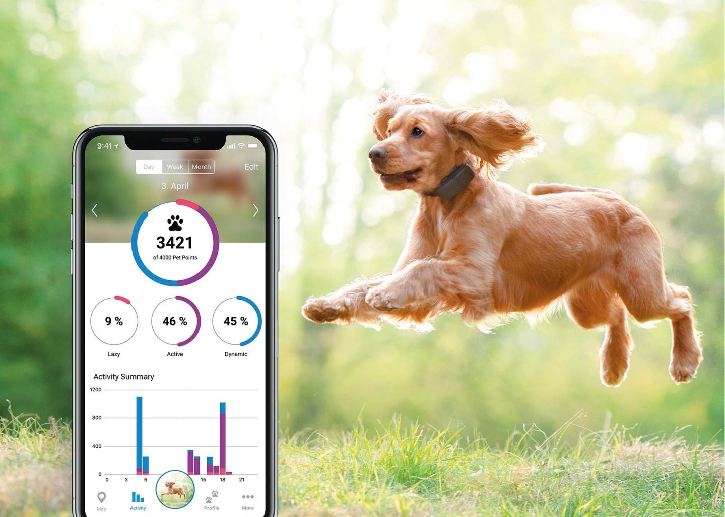 Paganini presenta Tractive GPS: localizzatore per cani e animali da compagnia Tractive GPS con cane