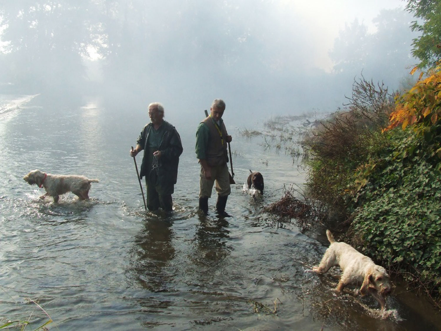 caccia: La cinofilia venatoria alla prima edizione di Hunting Dog Show 2014