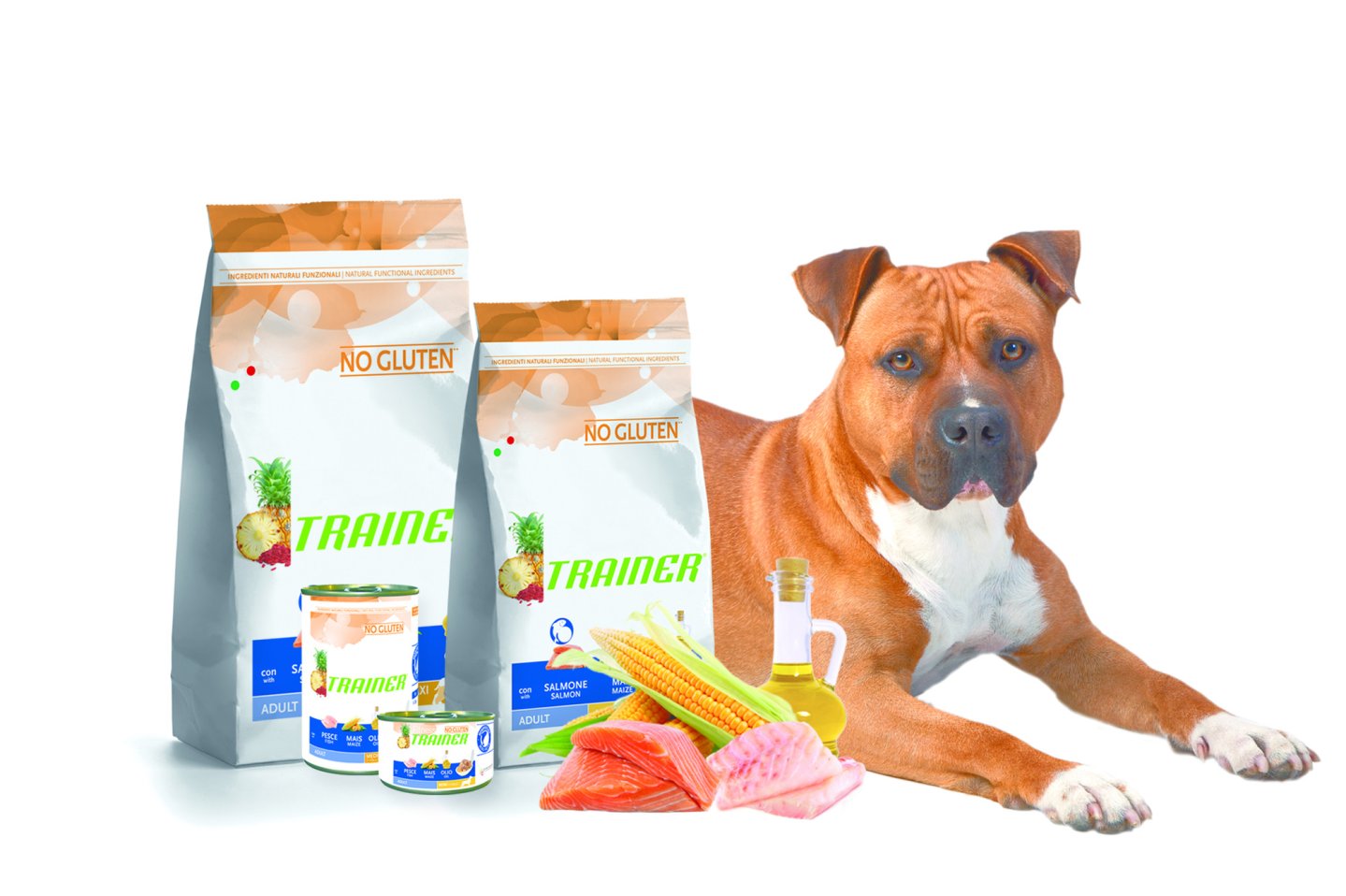 Trainer Fitness3 cibo-per-cani-senza-glutine
