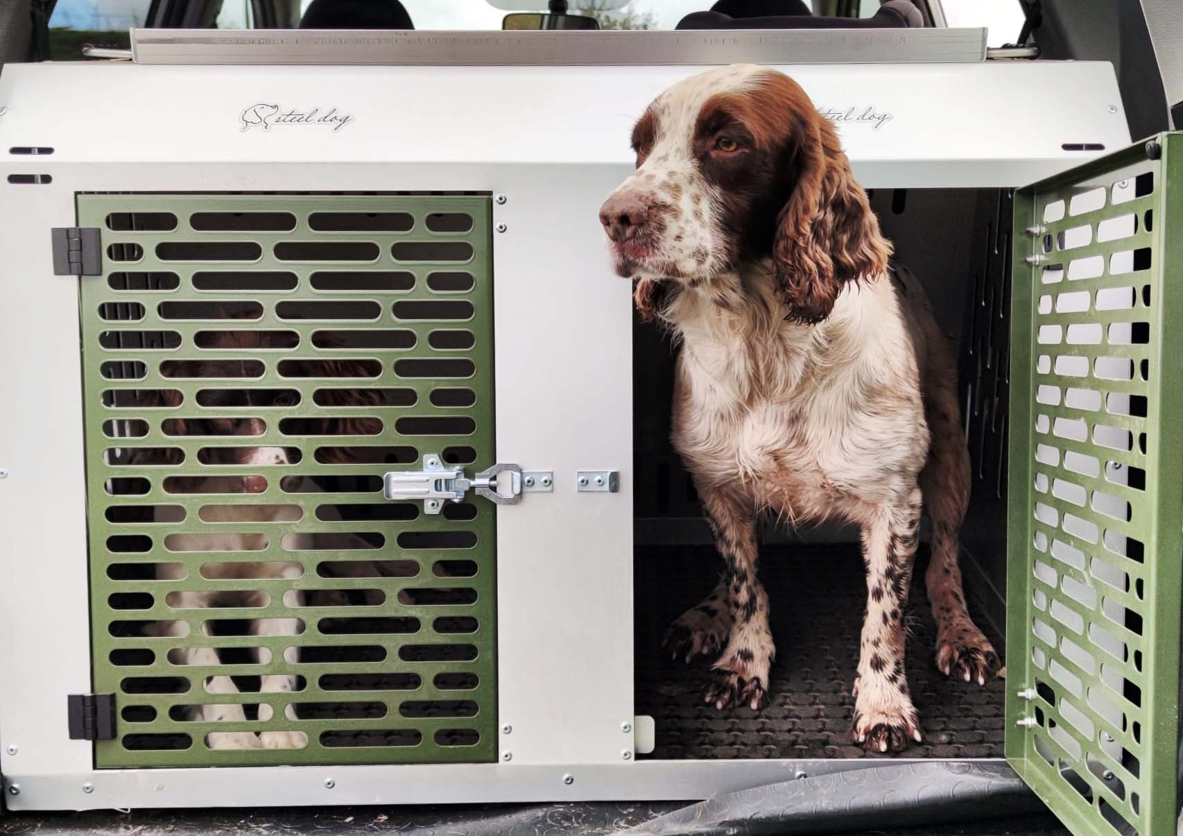 cinofilia: Il trasporto dei cani da caccia in automobile: tutto quello che c'è da sapere per evitare problemi e sanzioni