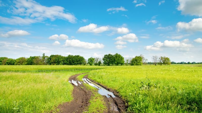munizioni: EU: il comitato REACH a deciso di mettere al bando il piombo. E adesso cosa succederà?