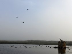 Piombo e munizioni, ANPAM: anche dall’IUCN nessun divieto