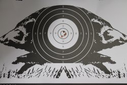 Armeria Dionisi: munizioni da caccia La rosata