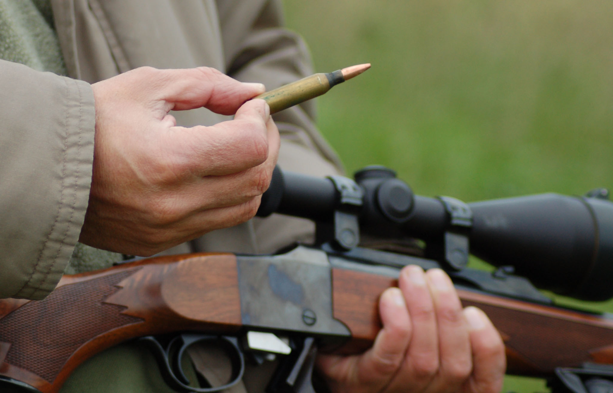 munizioni: Calibri per la caccia al Capriolo